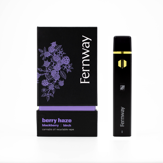 Berry Haze Traveler Vape
