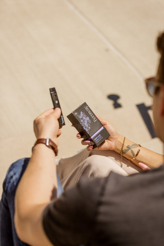 Berry Haze Traveler Vape