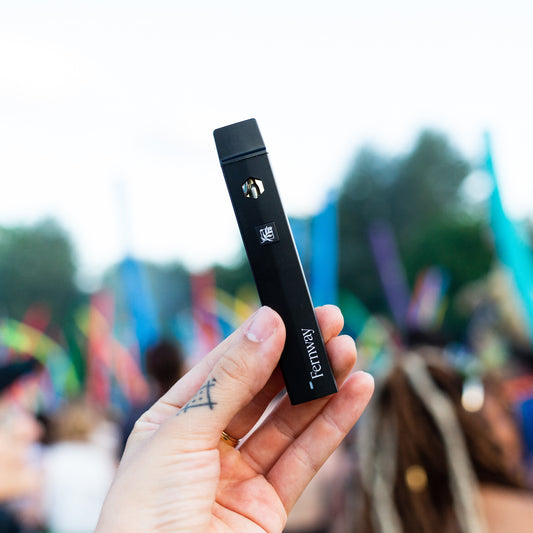 Mountain Girl Traveler Vape